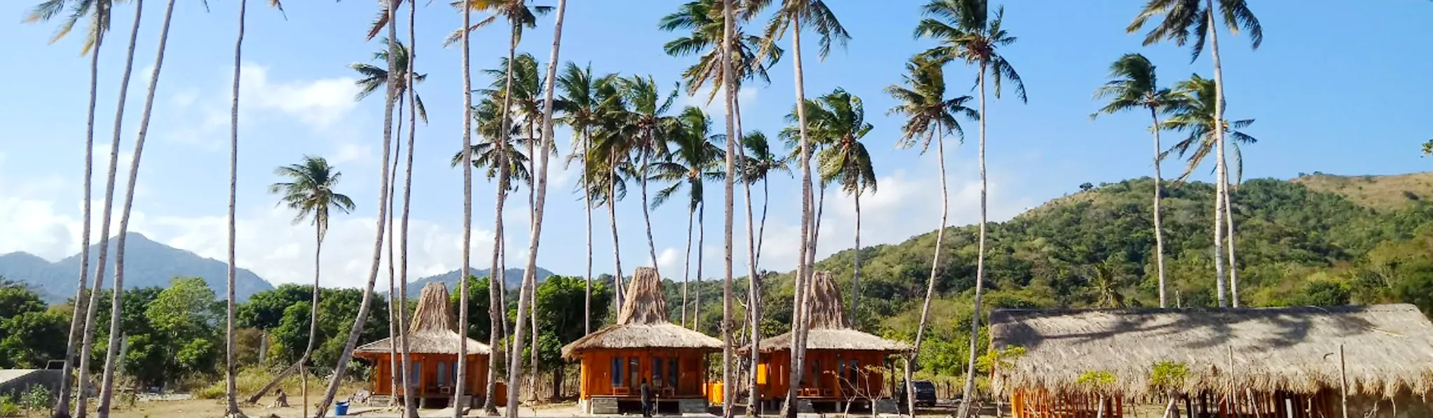 Sumbawa Investment by Indoned