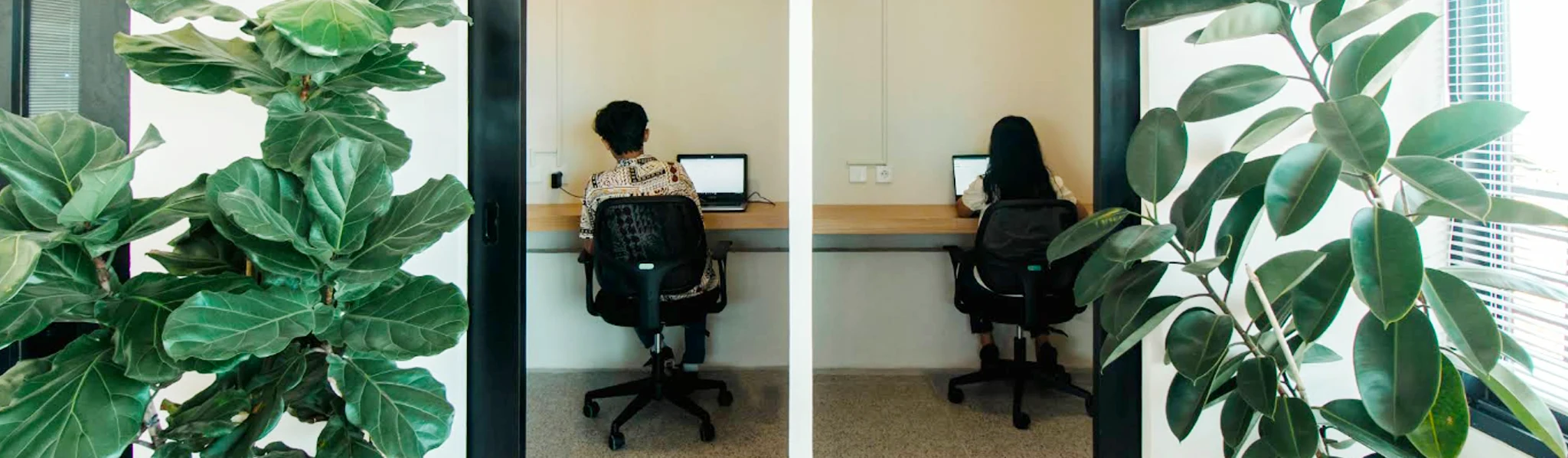 Live in Sumbawa by Indoned