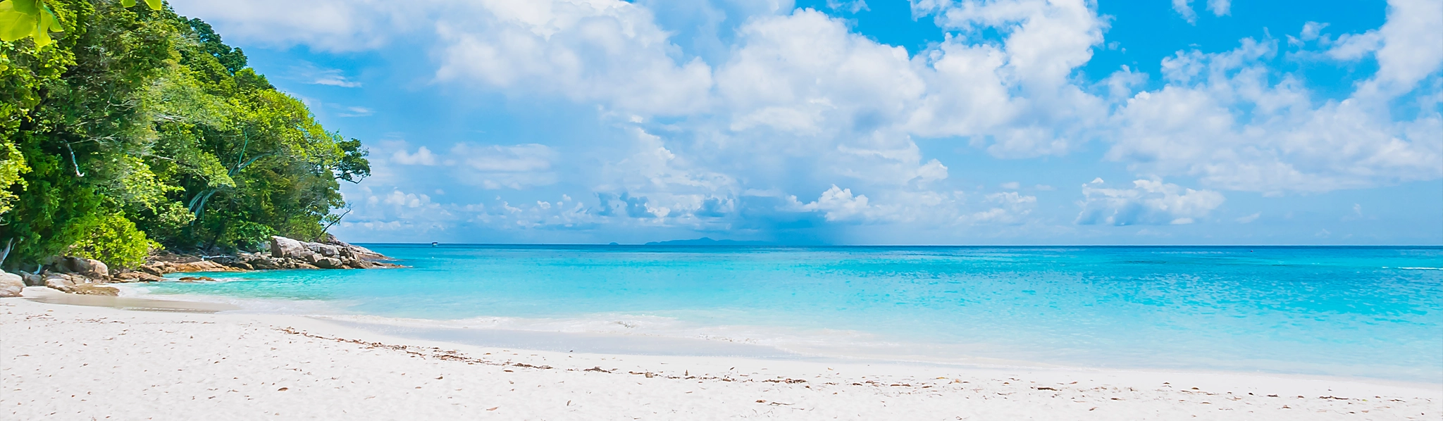 Starting Business in Bali by Indoned