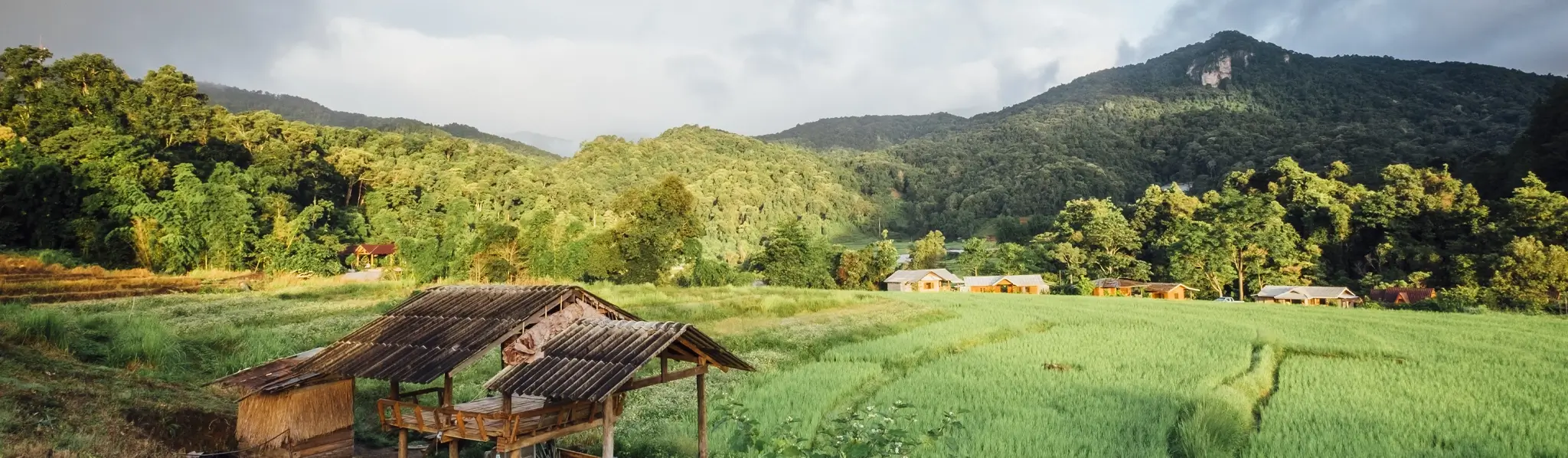 Sumba Land Investment by Indoned