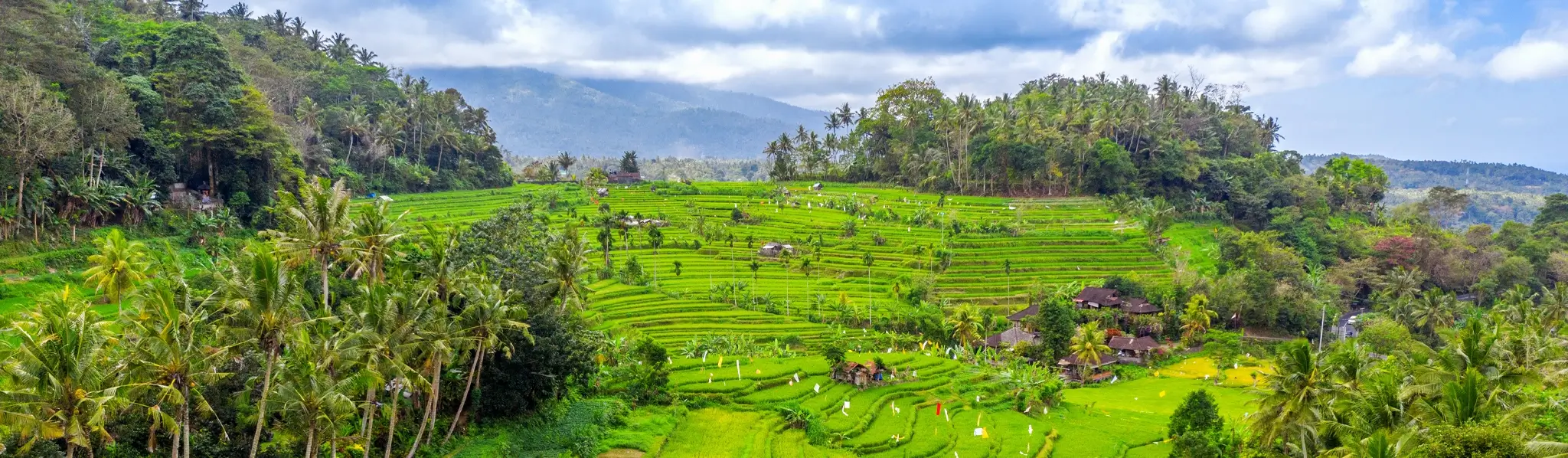 Safer Land Ownership Regulations by Indoned