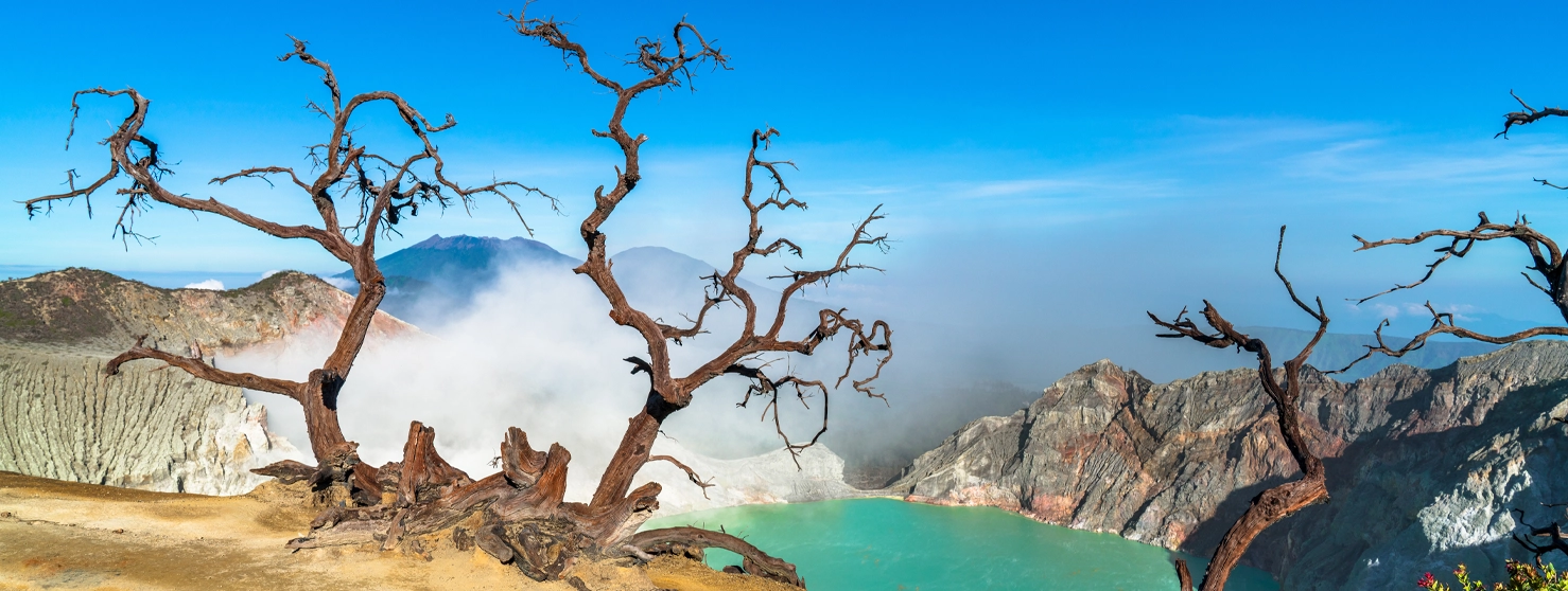 Relocating Business to Sumba by Indoned