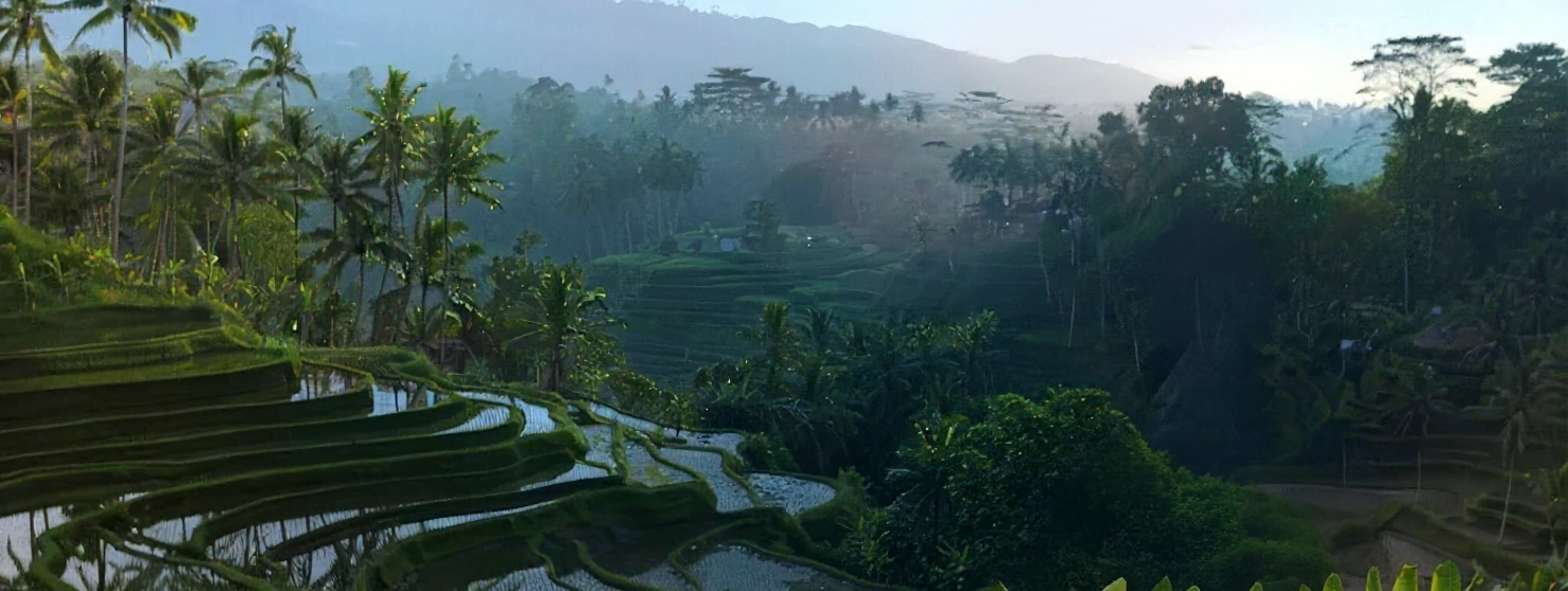 Successful Foreign Investments in Bali and Lombok by Indoned