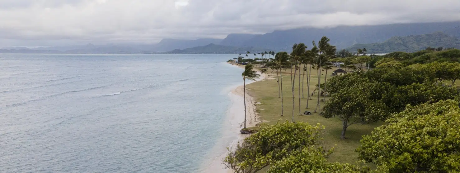 The Future of Tourism Investment by Indoned