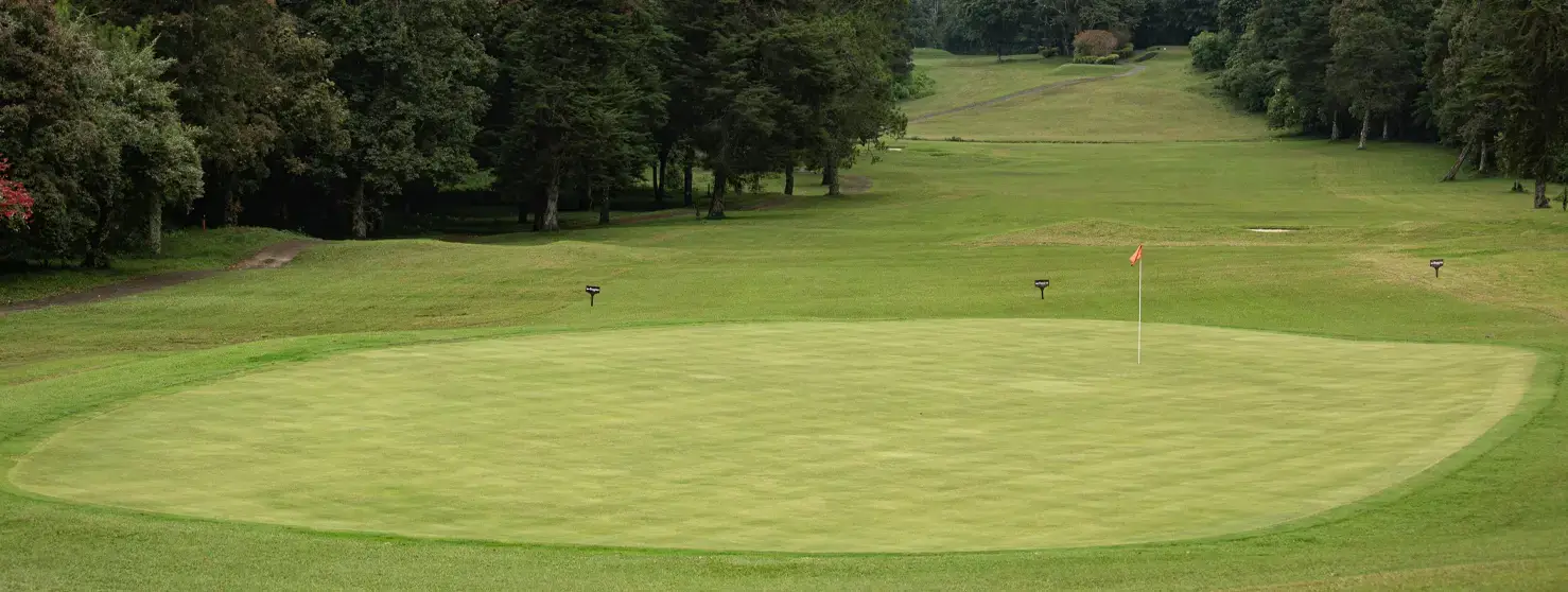 2026 Tax Advantages by Indoned