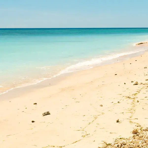 Estimate Cost of Running a Business in Indonesia: Updated Operating Expenses for 2026